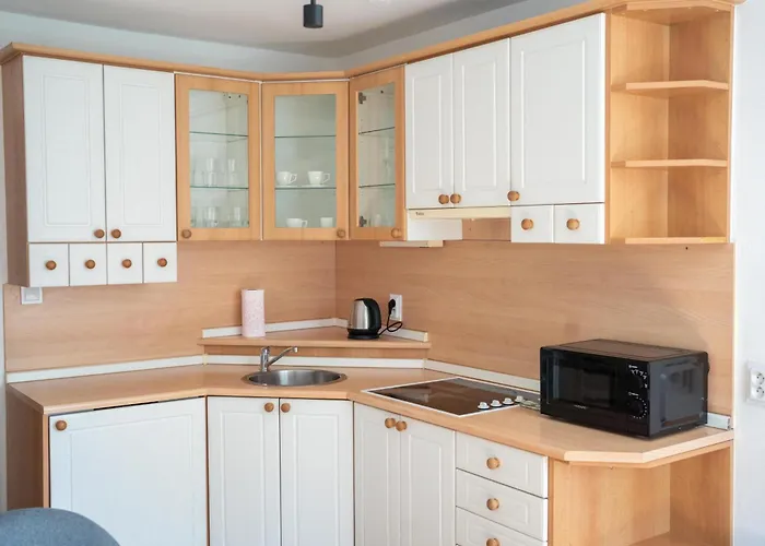 Na Dolní Appartamento *